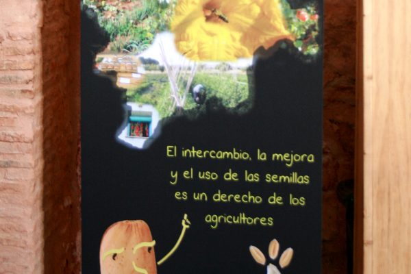 semillas_ecortijo_4
