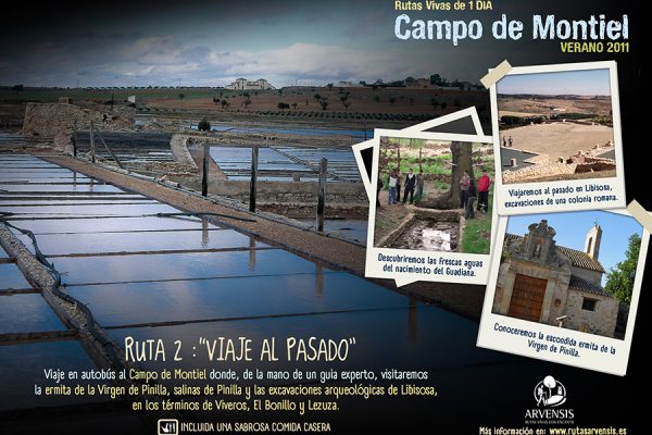 ViajeAlPasado