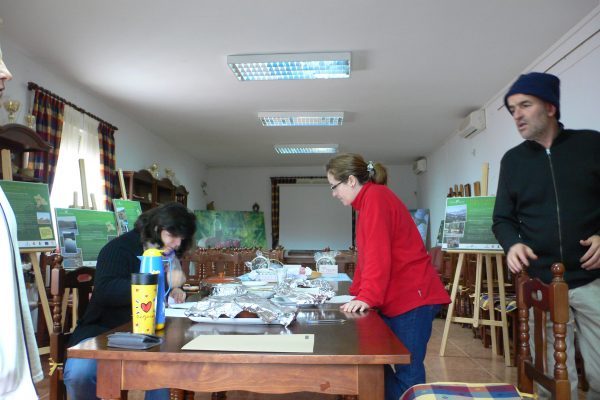 p1030061